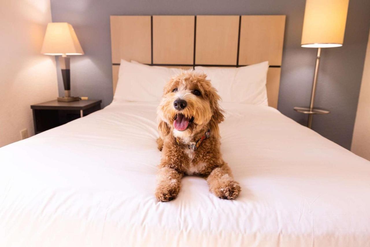 Sonesta Simply Suites Oklahoma City Airport Dış mekan fotoğraf